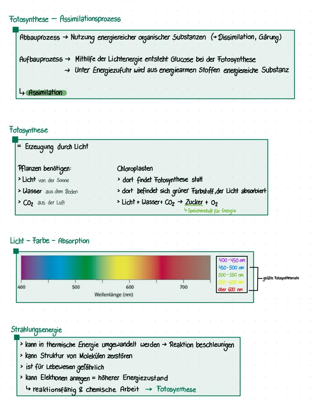 Energie
BIO KLAUSUR Nº 1
Welche Energieformen gibt es?
> Wärmeenergie
> Bewegung senergie
> chemische Energie
> elektrische Energie
> Lichte