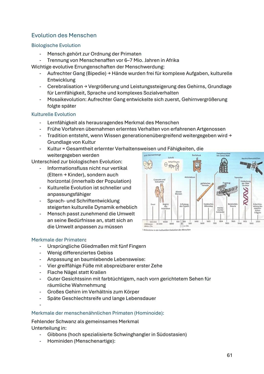 Evolution des Menschen
Biologische Evolution
- Mensch gehört zur Ordnung der Primaten
- Trennung von Menschenaffen vor 6-7 Mio. Jahren in Af