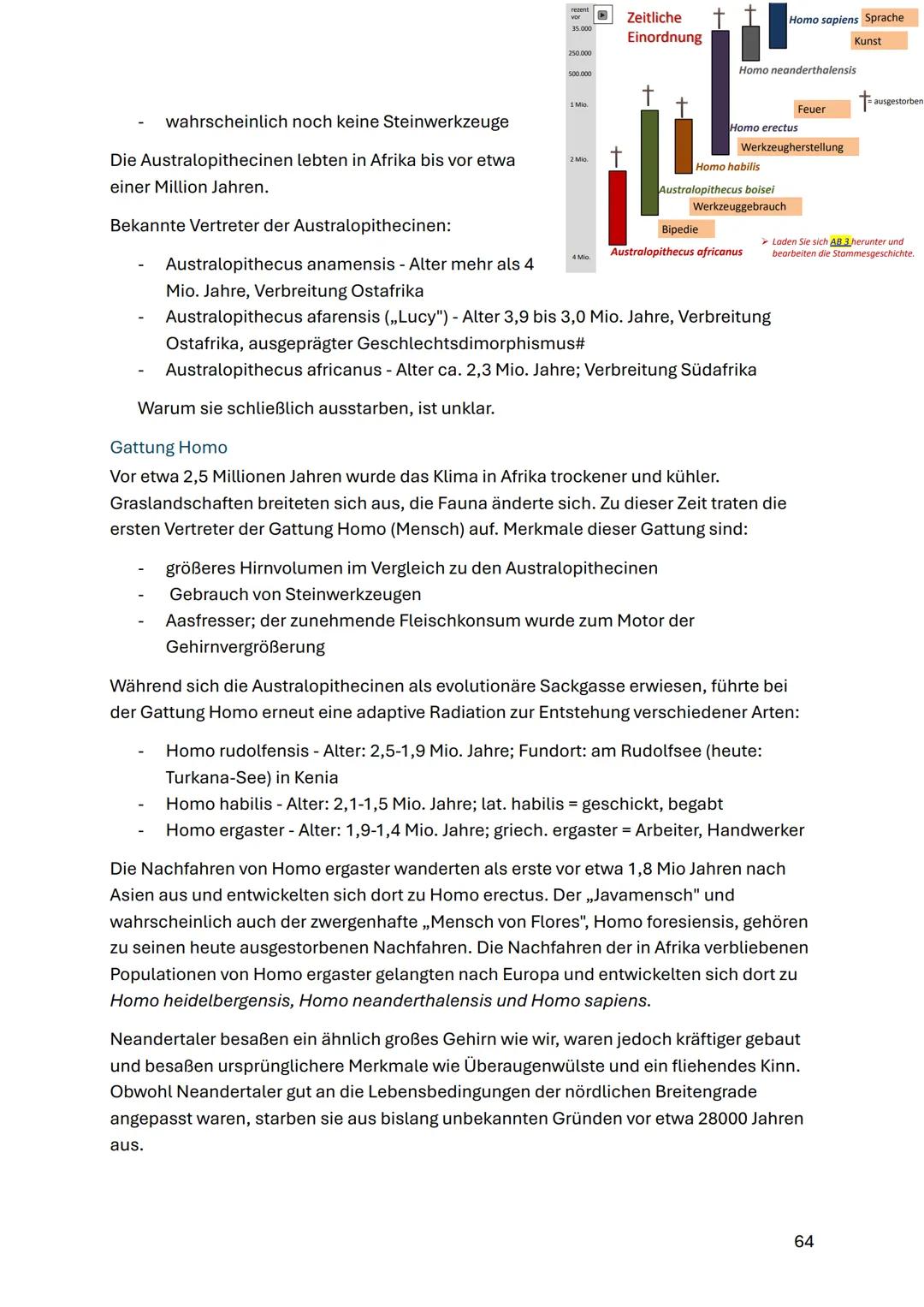 Evolution des Menschen
Biologische Evolution
- Mensch gehört zur Ordnung der Primaten
- Trennung von Menschenaffen vor 6-7 Mio. Jahren in Af