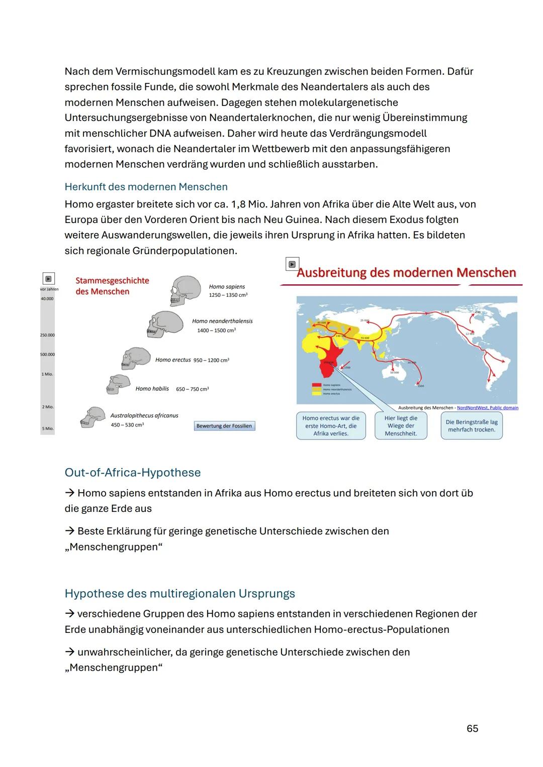 Evolution des Menschen
Biologische Evolution
- Mensch gehört zur Ordnung der Primaten
- Trennung von Menschenaffen vor 6-7 Mio. Jahren in Af