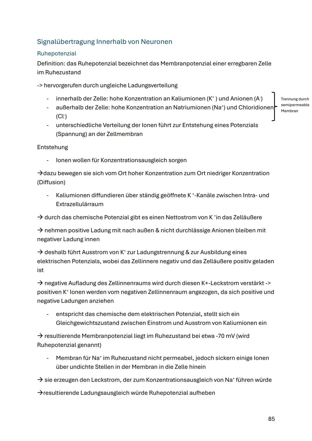 # Neurobiologie
Struktur und Funktion von Nervenzellen
ZNS (Zentrales Nervensystem)
Gehirn & Rückenmark
Funktionen:
- Steuerung von Ged