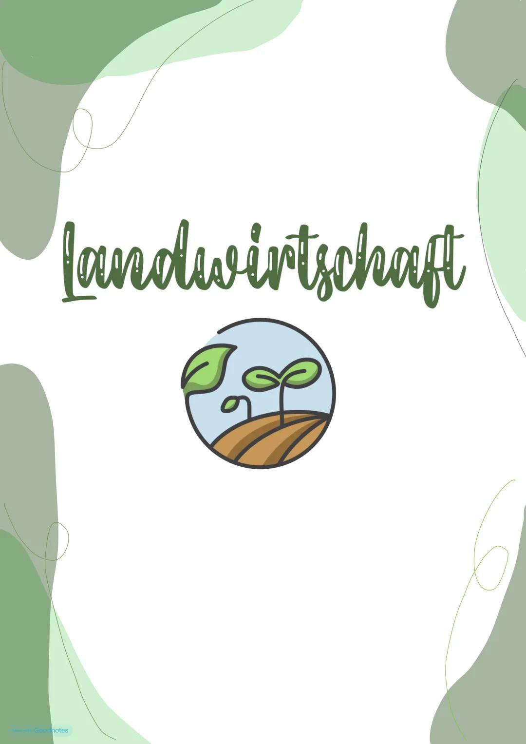 Landwirtschaft Lernzettel ABI 25 Geografie LK