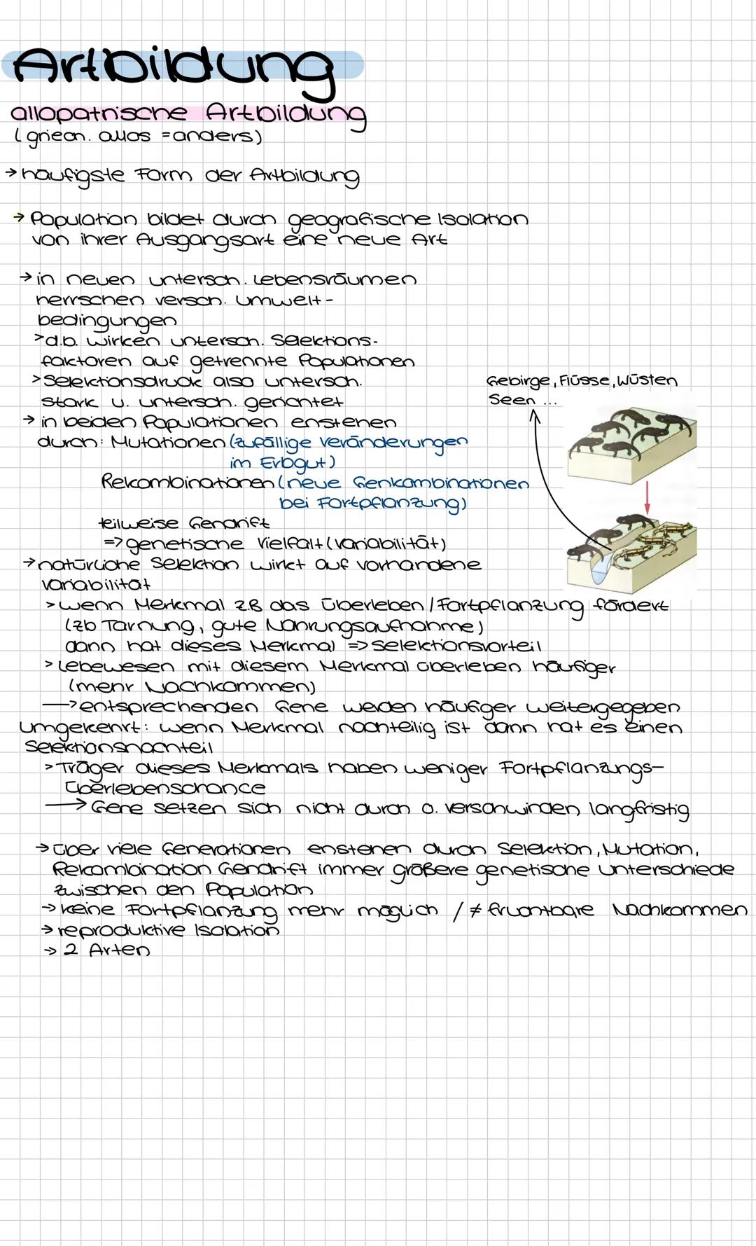 Artbildung
Sympatrische Artbildung
(lat. patria = Heimatlana)
→ eine kleine Papulation bildet onne geografisone
Isolation I Trennung von inv