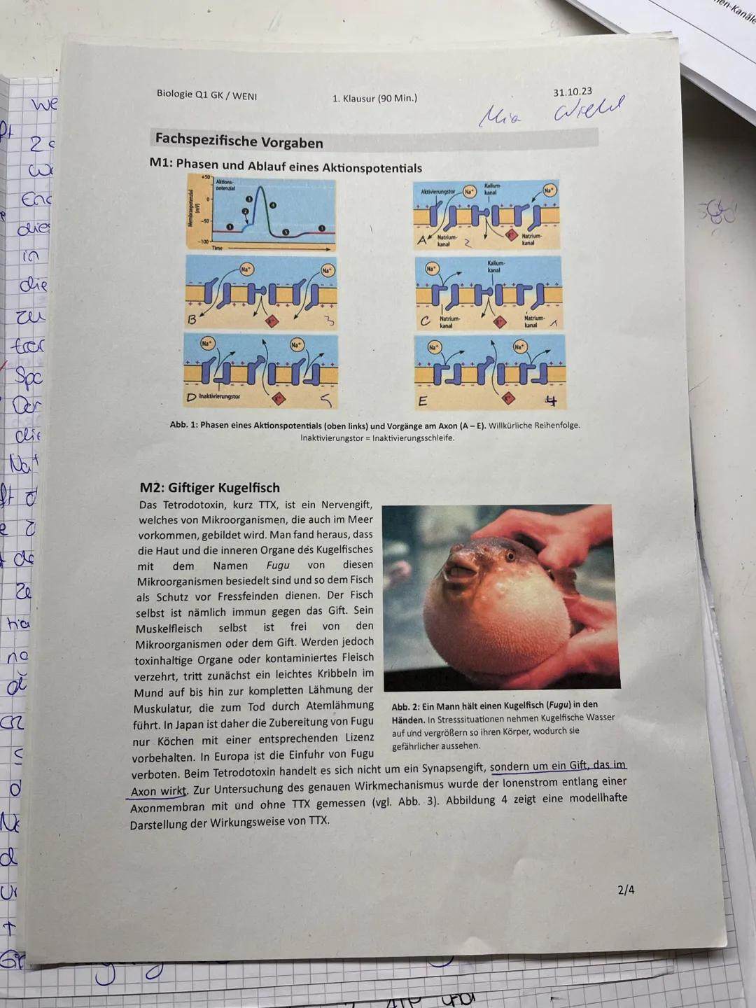 ## Biologie Q1 GK / WENI
1. Klausur (90 Min.)
31.10.23
Nachschreibeklausur für
Mathilda Schnell
## Aufgabe 1: Gift des Kugelfisches Fugu