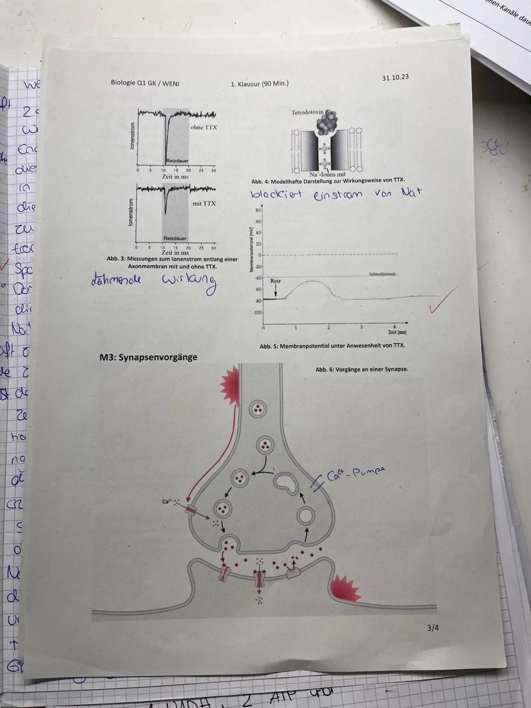## Biologie Q1 GK / WENI
1. Klausur (90 Min.)
31.10.23
Nachschreibeklausur für
Mathilda Schnell
## Aufgabe 1: Gift des Kugelfisches Fugu