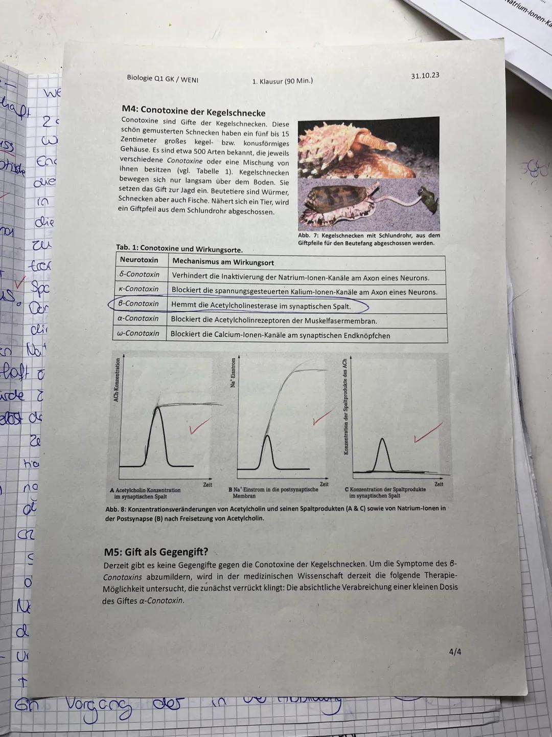 ## Biologie Q1 GK / WENI
1. Klausur (90 Min.)
31.10.23
Nachschreibeklausur für
Mathilda Schnell
## Aufgabe 1: Gift des Kugelfisches Fugu