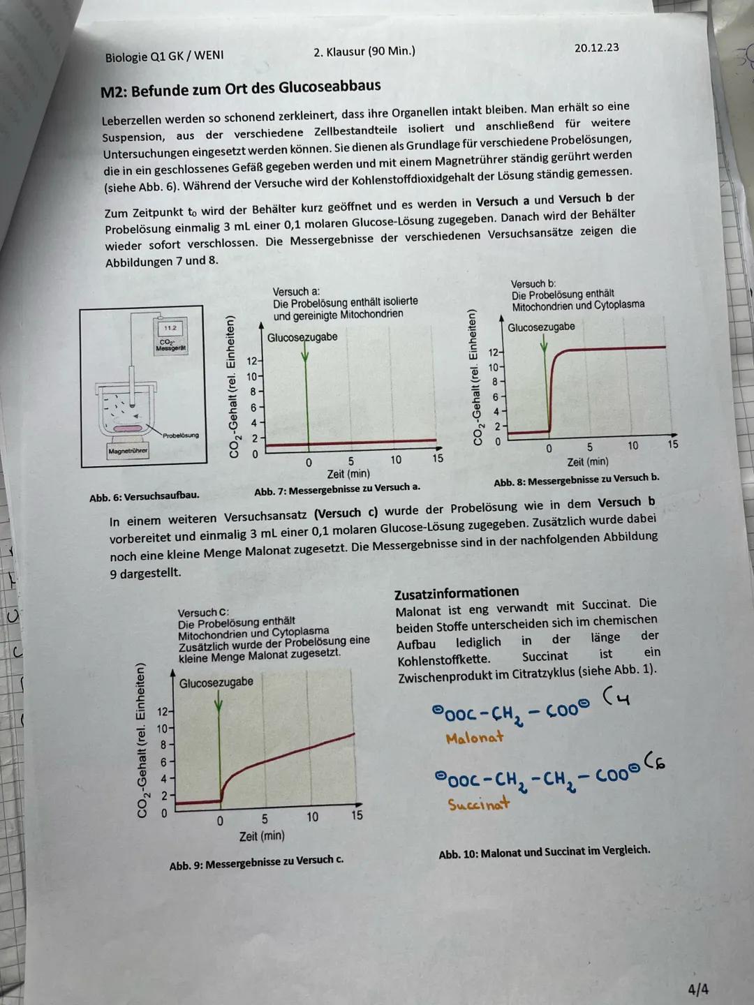 --- OCR Start ---
it
ト
at
+
Biologie Q1 GK/WENI
2. Klausur (90 Min.)
Nachschreibeklausur für
Mia Wiehl
08.01
20.12.23
Aufgabe 1: Rattengift