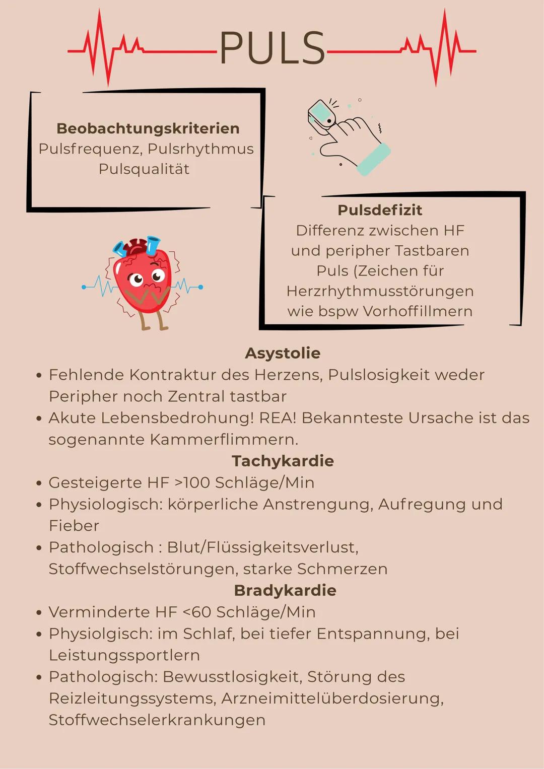 --- OCR Start ---
ATMUNG
Biologischer Prozess, bei dem molekularer Sauerstoff
aufgenommen, in die Zellentransportiert und dort in der
Atmung