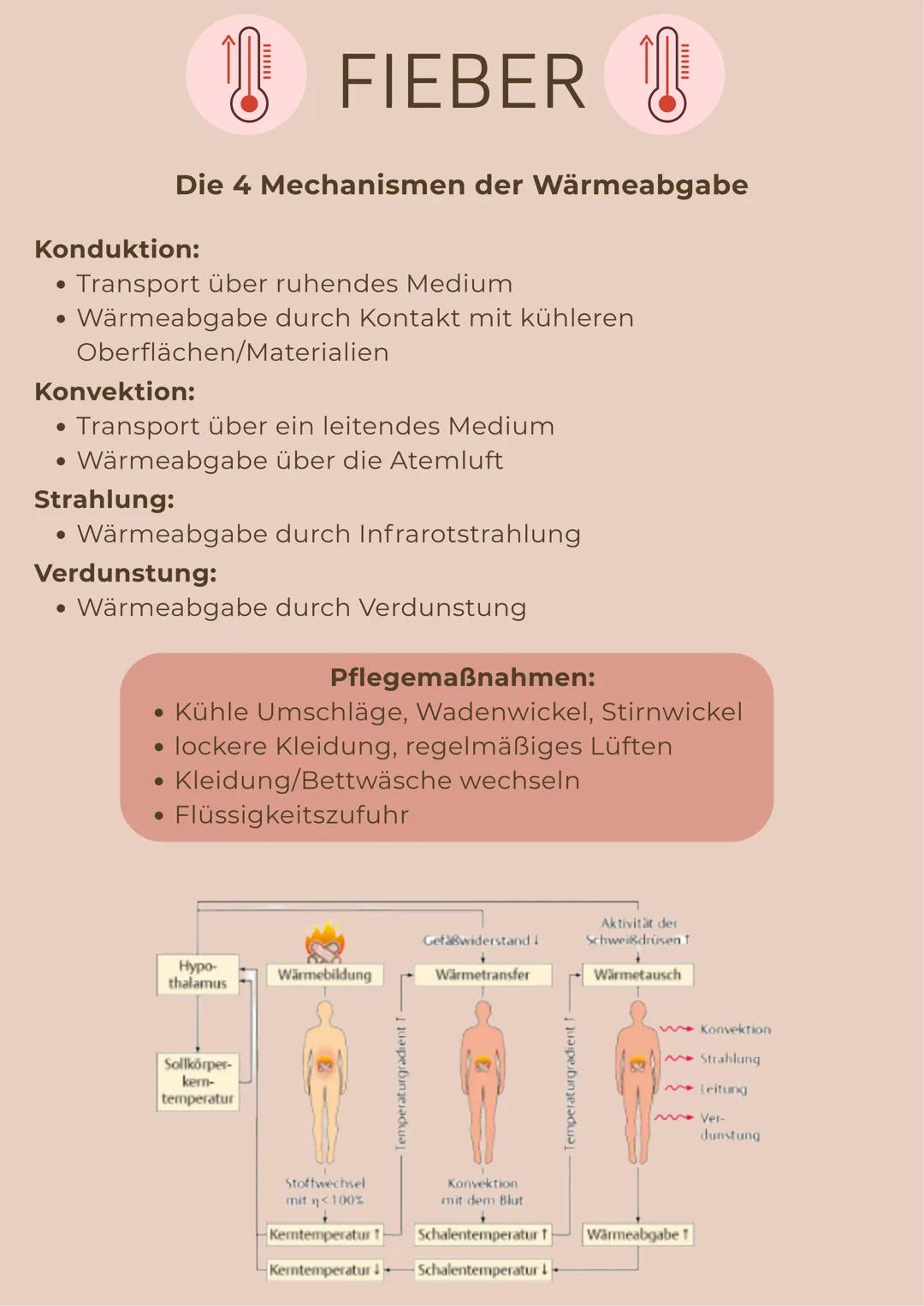 --- OCR Start ---
ATMUNG
Biologischer Prozess, bei dem molekularer Sauerstoff
aufgenommen, in die Zellentransportiert und dort in der
Atmung