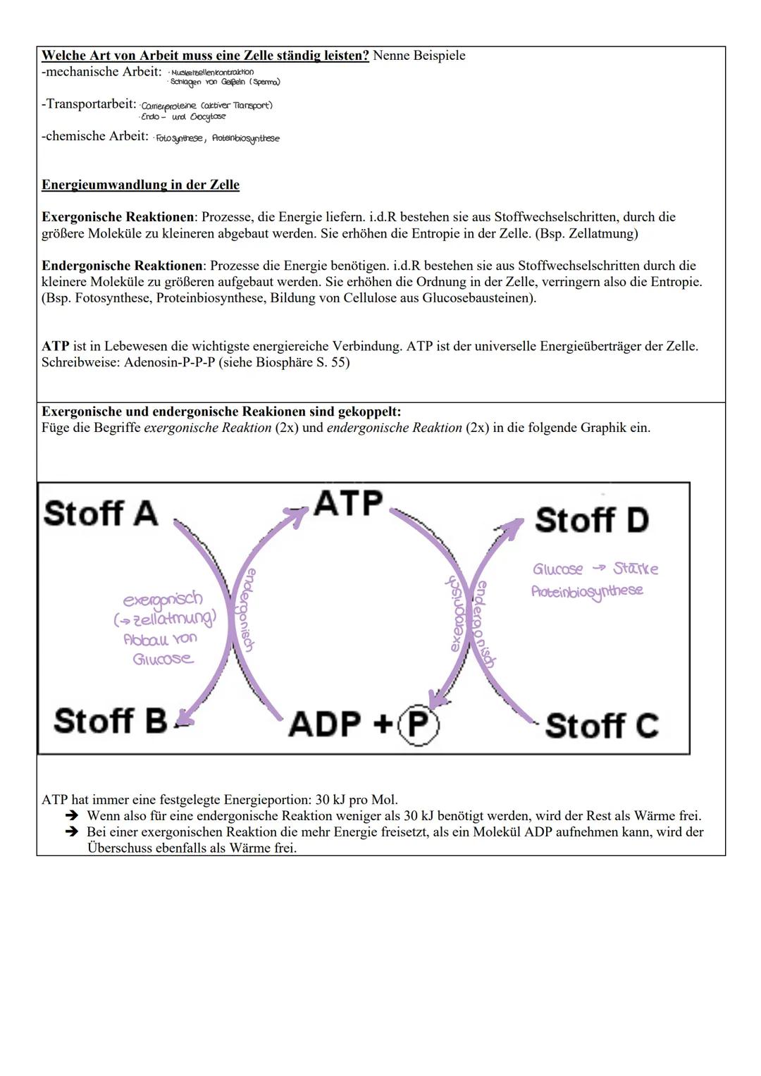 Stoff- und Energieumwandlung
Abitur 2025
1) Grundprinzipien des auf- und abbauenden Stoffwechsels
Summenformel der Fotosynthese
Kohlenstoffd