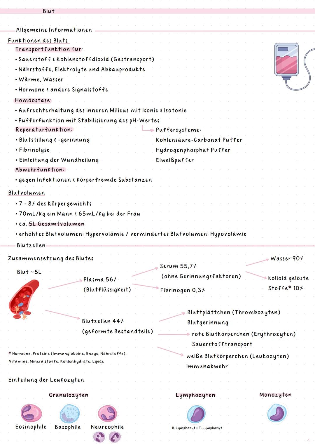 # notes
Hämatologie & Histologie
Kurs: BIOLAB22
Jahr: 2024/25 # Index
# Thema
## Hämatologie
1 Blut
2 Morphologische Hämatologie
3 Diagno