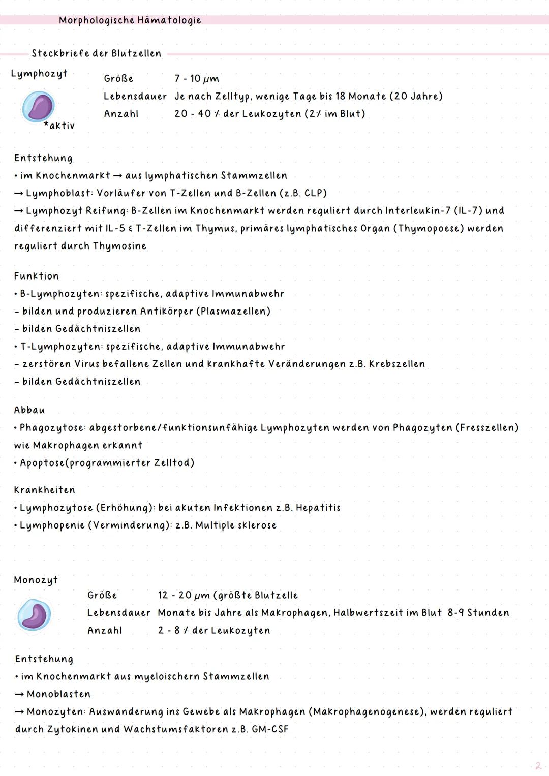 # notes
Hämatologie & Histologie
Kurs: BIOLAB22
Jahr: 2024/25 # Index
# Thema
## Hämatologie
1 Blut
2 Morphologische Hämatologie
3 Diagno