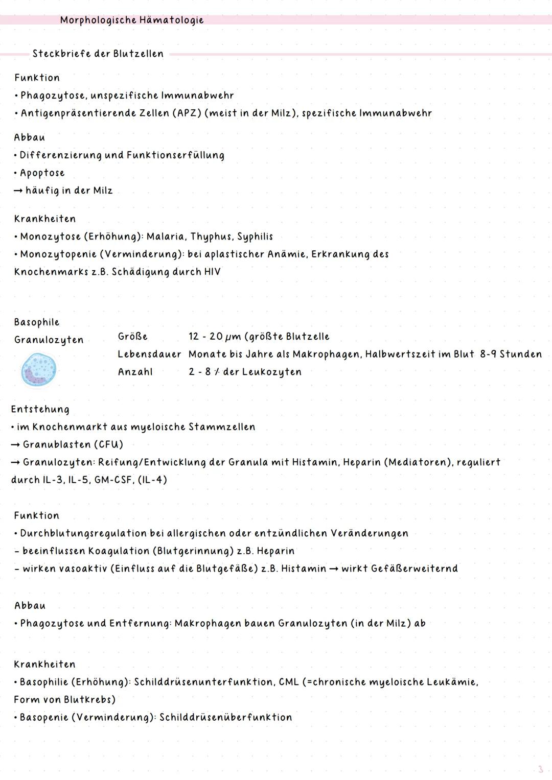 # notes
Hämatologie & Histologie
Kurs: BIOLAB22
Jahr: 2024/25 # Index
# Thema
## Hämatologie
1 Blut
2 Morphologische Hämatologie
3 Diagno