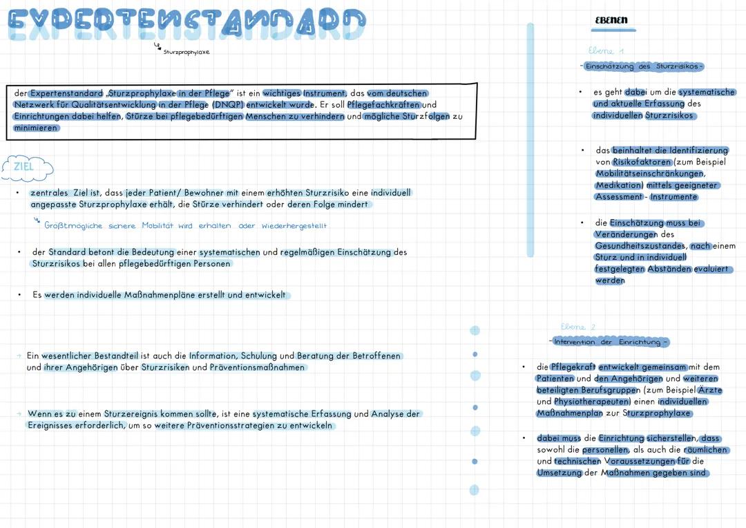 Expertenstandard zum Thema Sturzprophylaxe in der Pflege