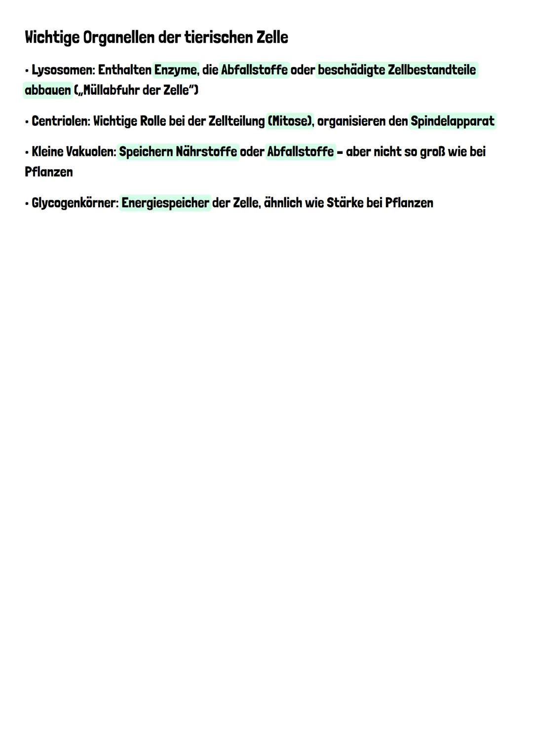 TIERZELLE VS.
PFLANZENZELLE
Tierzelle
Centriolen
Peroxisom
Lysosom
Zellmembran
Keratin
Mikrotubuli
Mitochondrium
Mikrofilamente
Ribosomen
Go