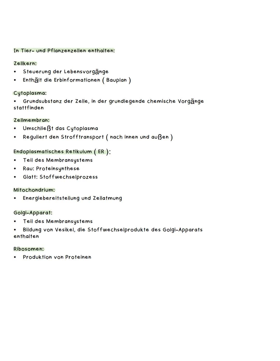 VERGLEICH TIER - UND PFLANZENZELLE
Eukaryotische Zellen:
komplexer Aufbah mit Zellkern und
membranumgrenzten Organellen (z.B. Tier- und
Plan