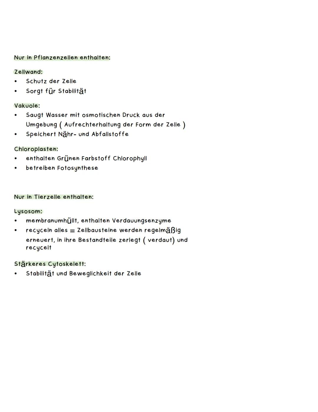 VERGLEICH TIER - UND PFLANZENZELLE
Eukaryotische Zellen:
komplexer Aufbah mit Zellkern und
membranumgrenzten Organellen (z.B. Tier- und
Plan
