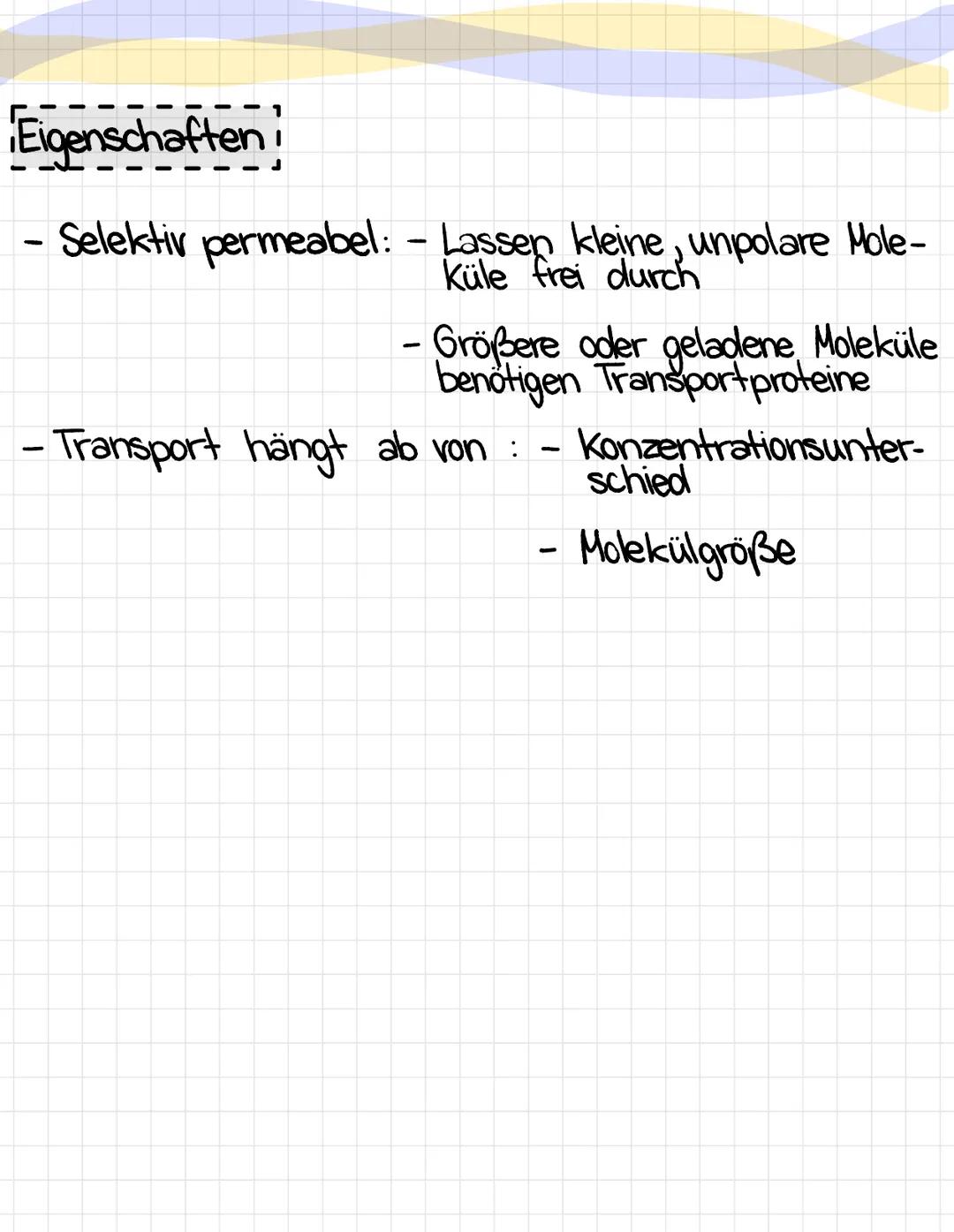 Transportvorgänge durch Biomembran
Arten des Transports
1. Passiver Transport: - ohne Energieaufwand
> Bsp.: - einfache
Diffusion
erleichter