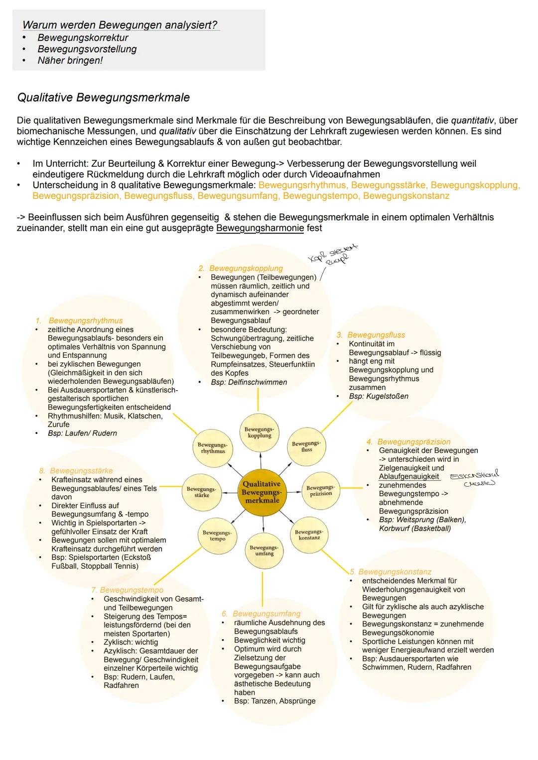 Q1.2. Struktur sportlicher Bewegungen
Analysen sportlicher Bewegungen
Im Prinzip lässt sich jede Bewegung (azyklischen Bewegungen, zyklische