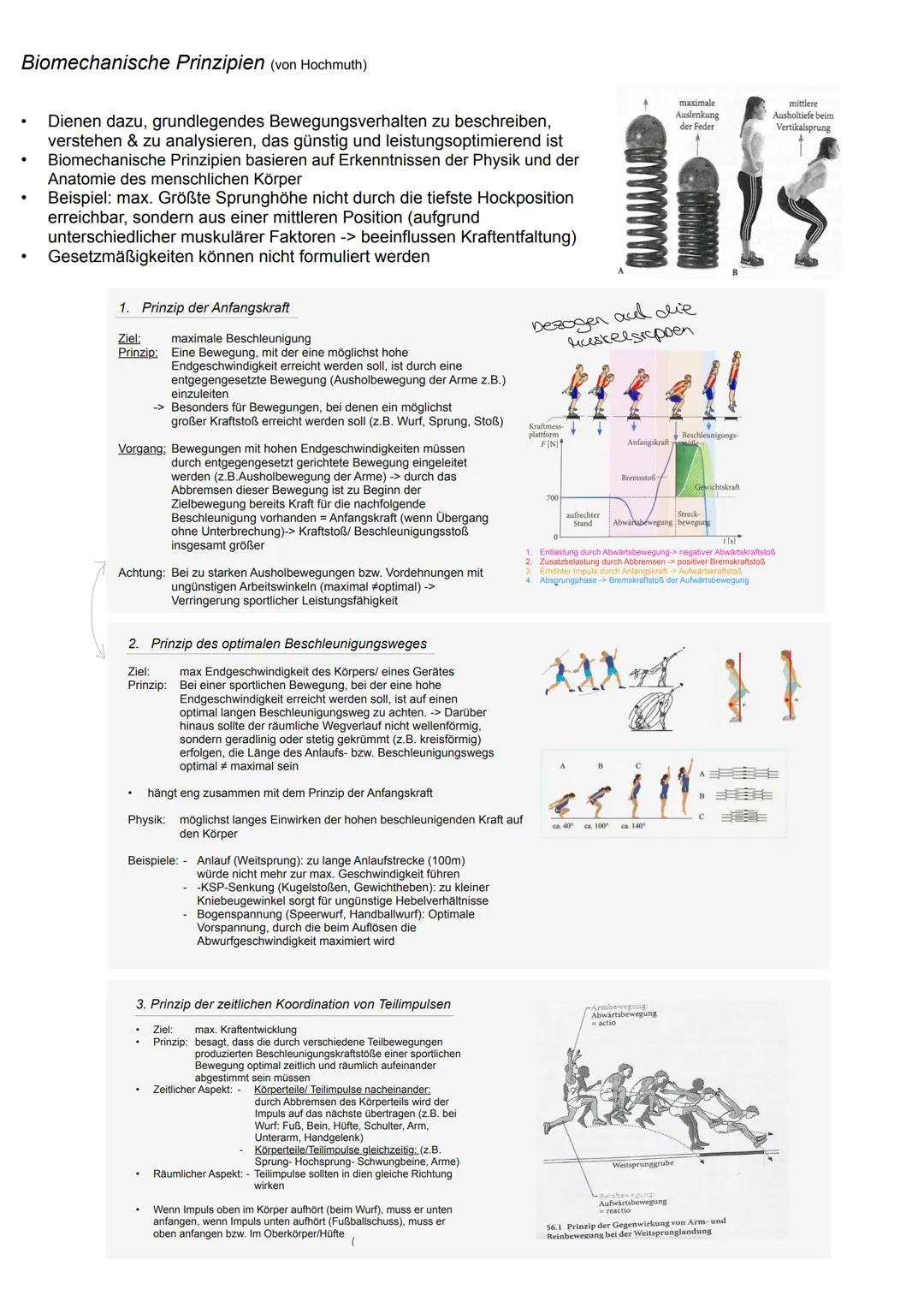 Q1.2. Struktur sportlicher Bewegungen
Analysen sportlicher Bewegungen
Im Prinzip lässt sich jede Bewegung (azyklischen Bewegungen, zyklische