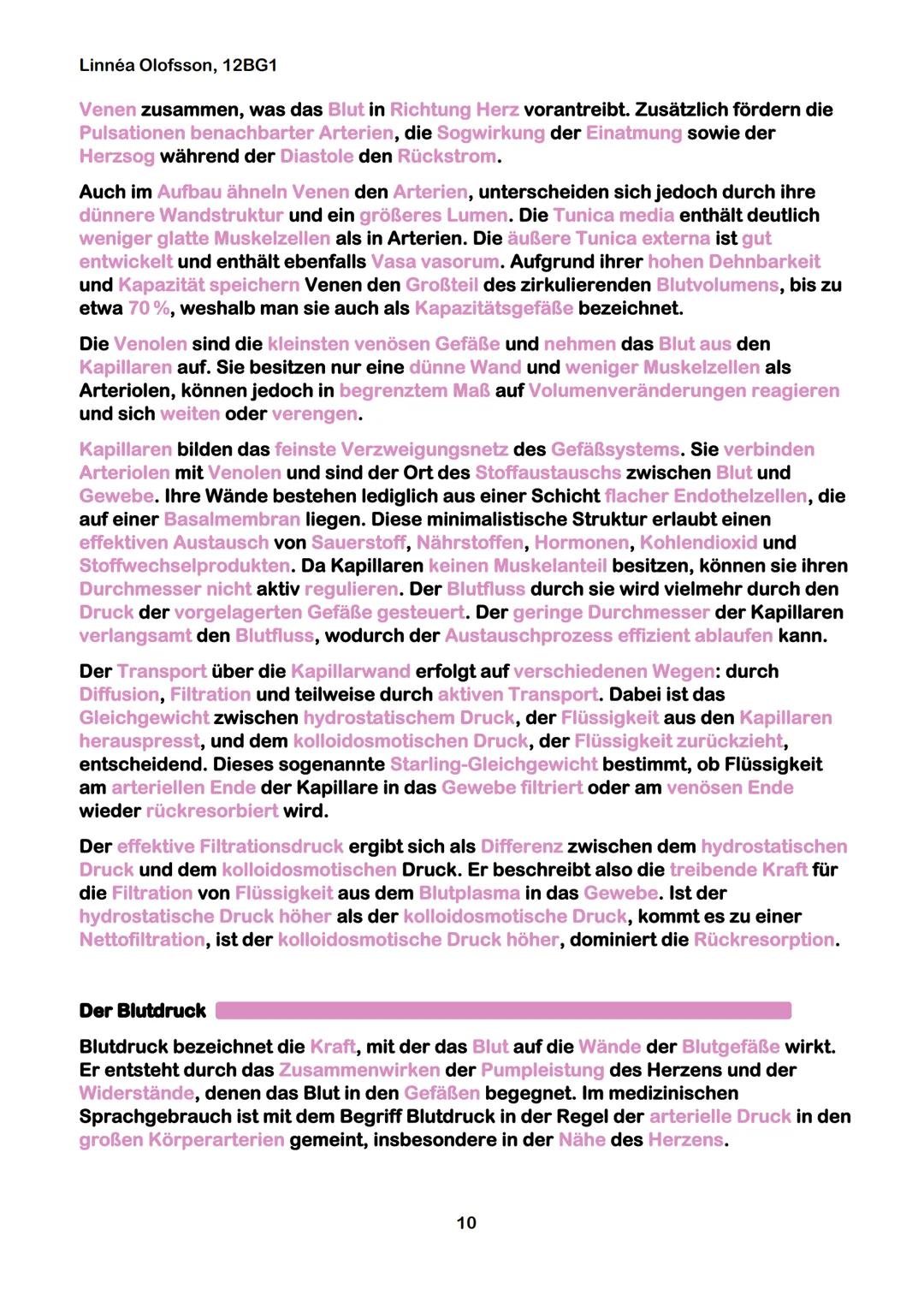 Linnéa Olofsson, 12BG1
GeLe Lernzettel 20.05.25
Das kardiovaskuläre System
Das Herz-Kreislauf-System, auch kardiovaskuläres System genannt,