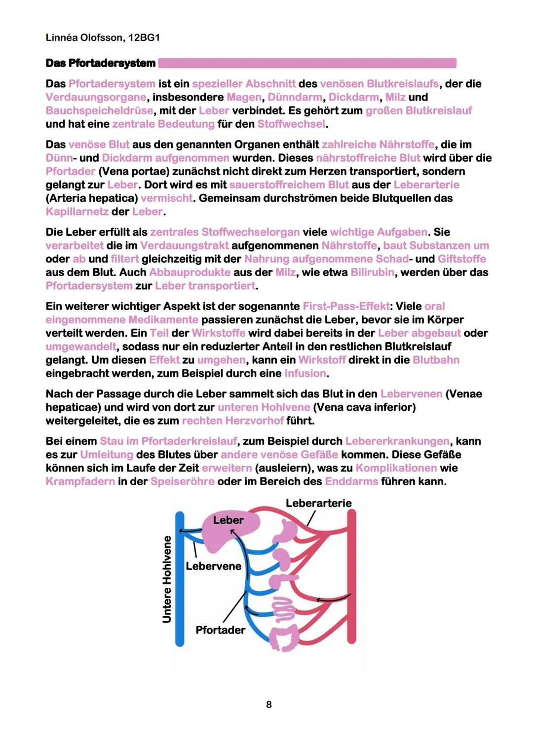 Linnéa Olofsson, 12BG1
GeLe Lernzettel 20.05.25
Das kardiovaskuläre System
Das Herz-Kreislauf-System, auch kardiovaskuläres System genannt,