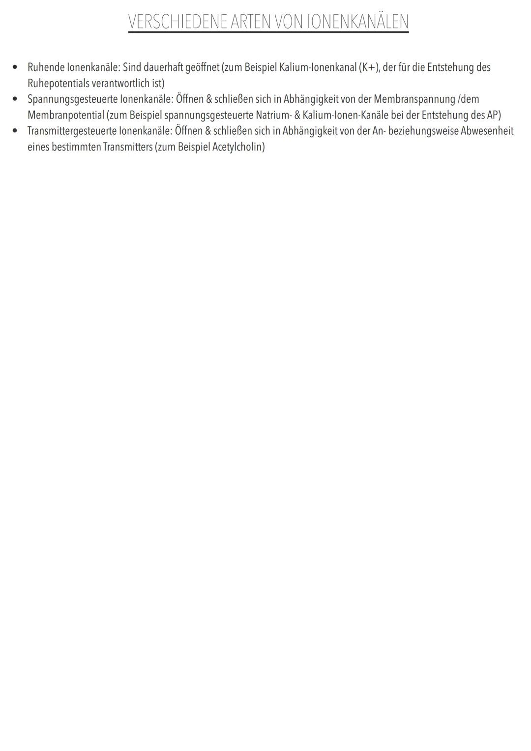 GRUNDLAGEN DER INFORMATIONSVERARBEITUNG BAU & FUNKTIONEN VON NERVENZELLEN: BAU EINER NERVENZELLE
NERVENZELLE DEFINITION
Nervenzellen sind f