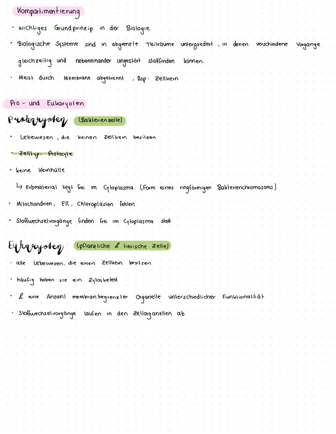LERNZETTEL BIOLOGIE
Unterschied Tier - und Pflanzenzellen
Gemeinsamkeiten
Unterschiede
• Zellen gehen durch Teilungen aus
anderen hervor
• T
