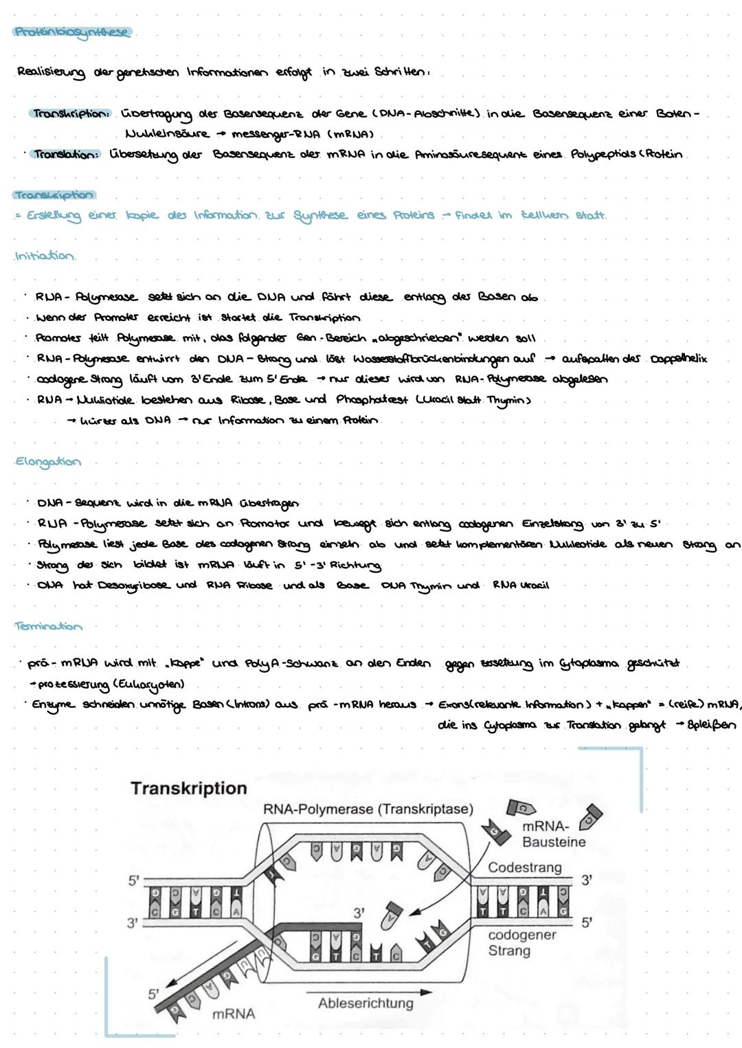 --- OCR Start ---
Molekullorgenetik
Aufbau Uukleinsuren
Sind aus drei Grundbausteinen aufgebaut.
GENETIK
zucher
Phosphatrest
organische Base