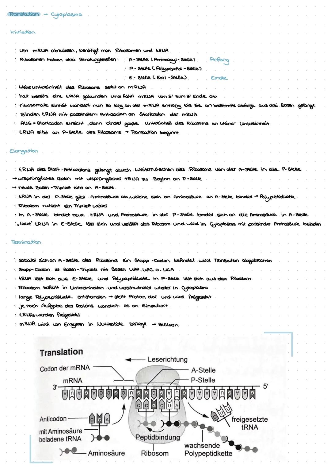 --- OCR Start ---
Molekullorgenetik
Aufbau Uukleinsuren
Sind aus drei Grundbausteinen aufgebaut.
GENETIK
zucher
Phosphatrest
organische Base