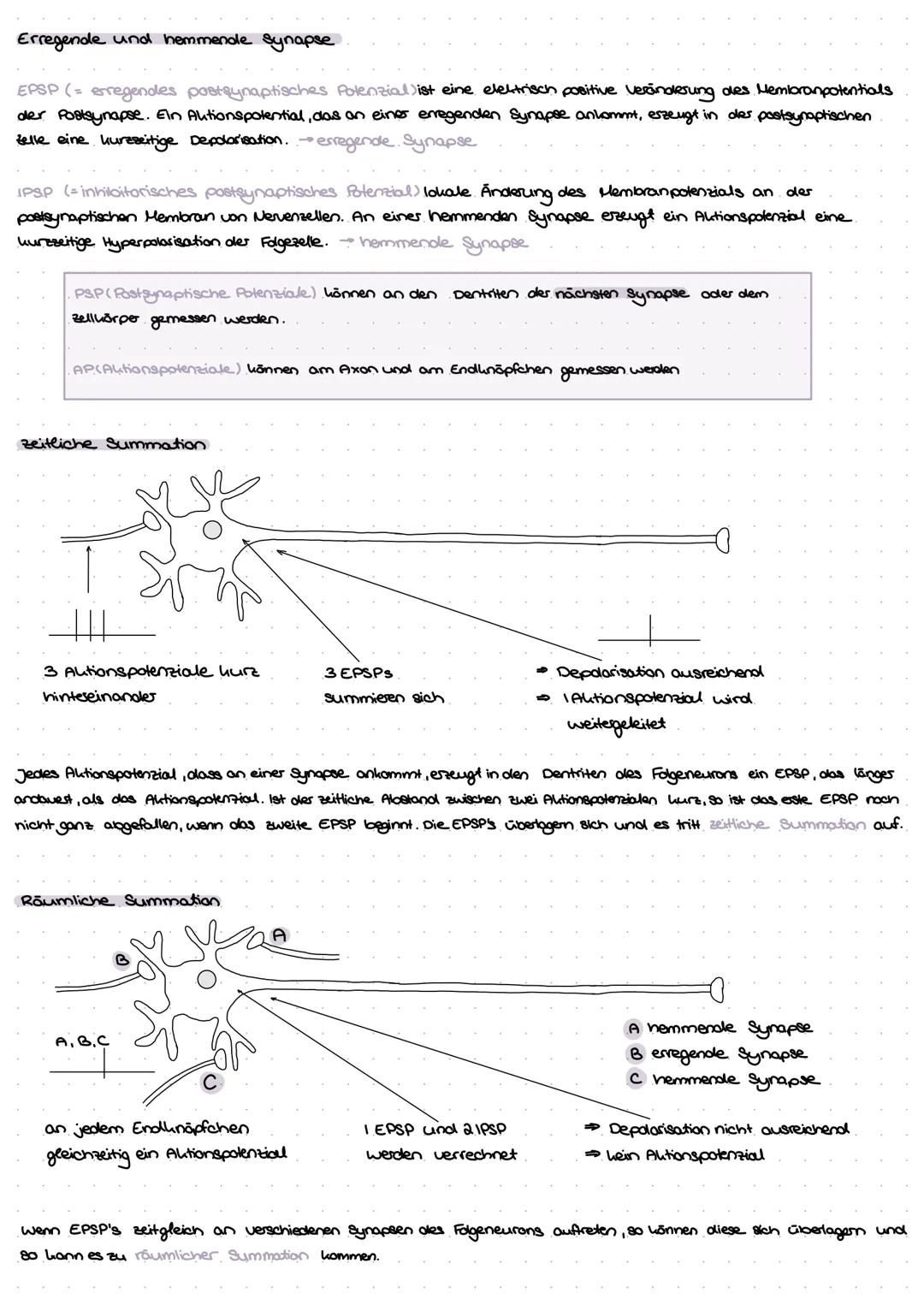 Aulbow Nervenzelle
Dendrit
Zellhörpes
Zellken
Endunöpfchen
Myelinscheide
Ranvier sches
Sonnarring
Axonhügel
Axon
prosynaptische Enligung
and