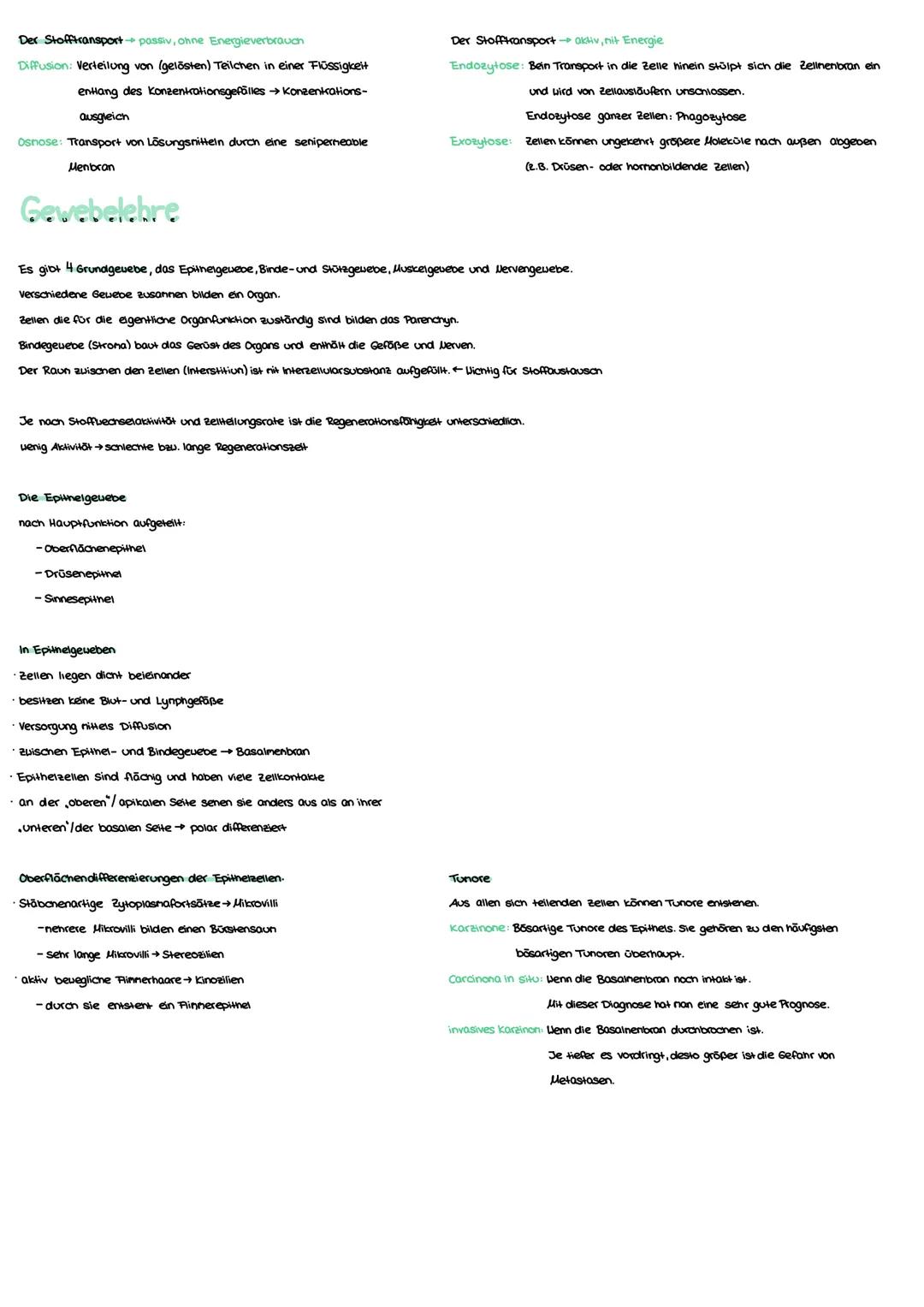 Anatomie Grundlagen
Anatonie ist die Lehre von:
Morphologie (Aufbau)
Histologie (Gevebe)
Enbryologie (Entwicklung)
Makroskopisane Anatomie: