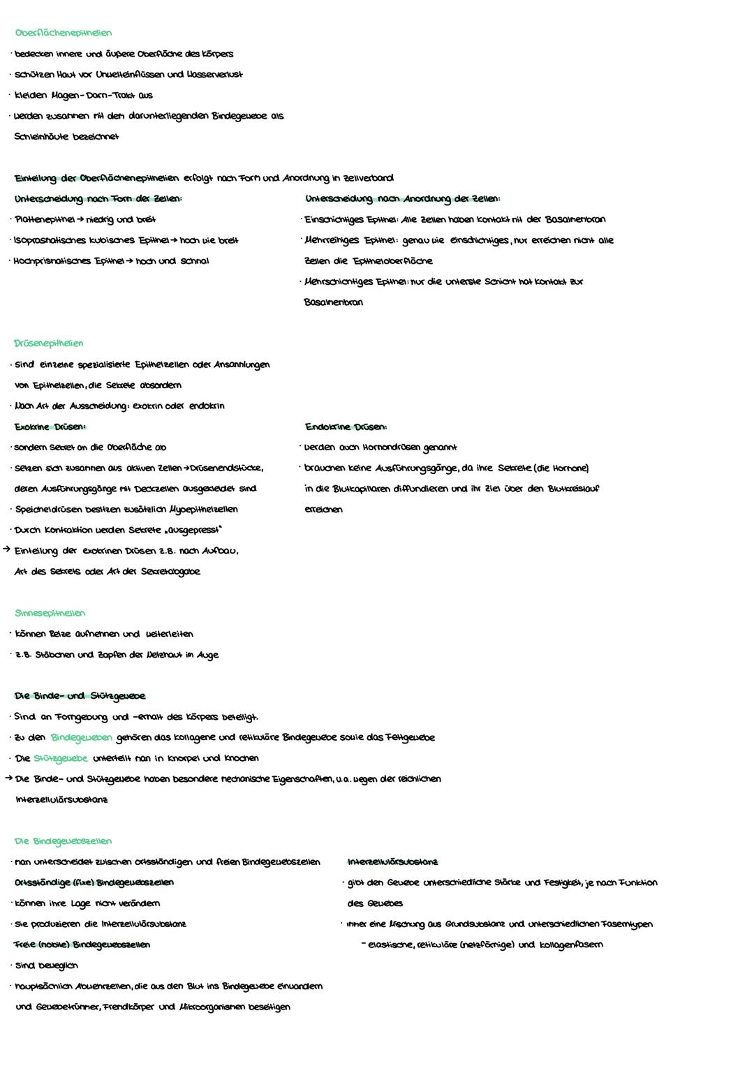 Anatomie Grundlagen
Anatonie ist die Lehre von:
Morphologie (Aufbau)
Histologie (Gevebe)
Enbryologie (Entwicklung)
Makroskopisane Anatomie: