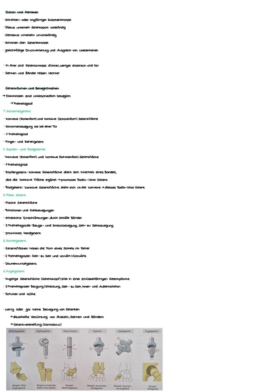 Anatomie Grundlagen
Anatonie ist die Lehre von:
Morphologie (Aufbau)
Histologie (Gevebe)
Enbryologie (Entwicklung)
Makroskopisane Anatomie: