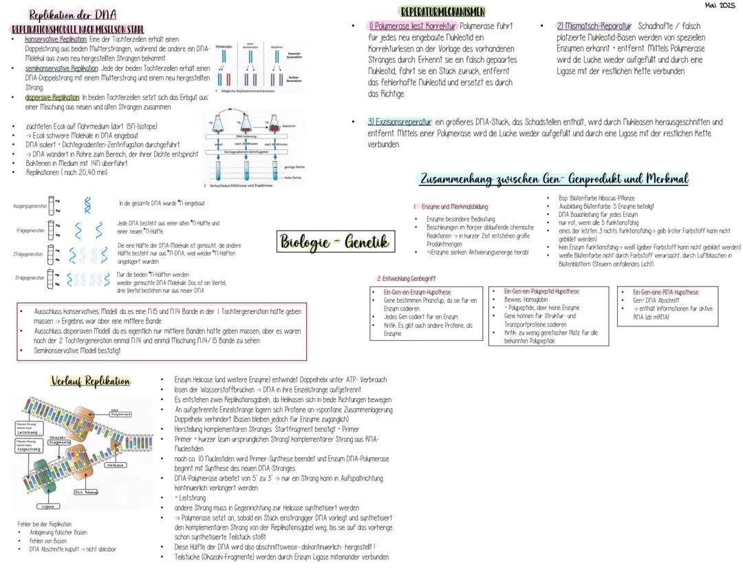 Biologie LK - alle Themen Genetik für Abitur ! Gentechnik (Werkzeuge), Genregulation, DNA Epigenetik