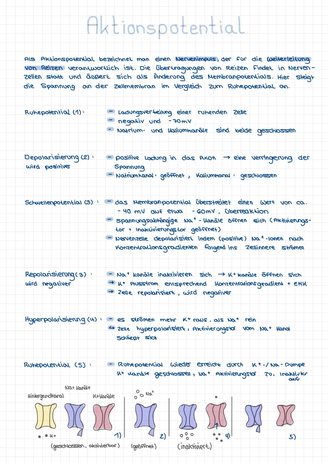 # Spannung:
Differenz von Ladungen (hier Ionen) von zwei Kammern
# Gleichgewichtspotenzial:
in beiden Kammern sind die Kräfte (osmotisch