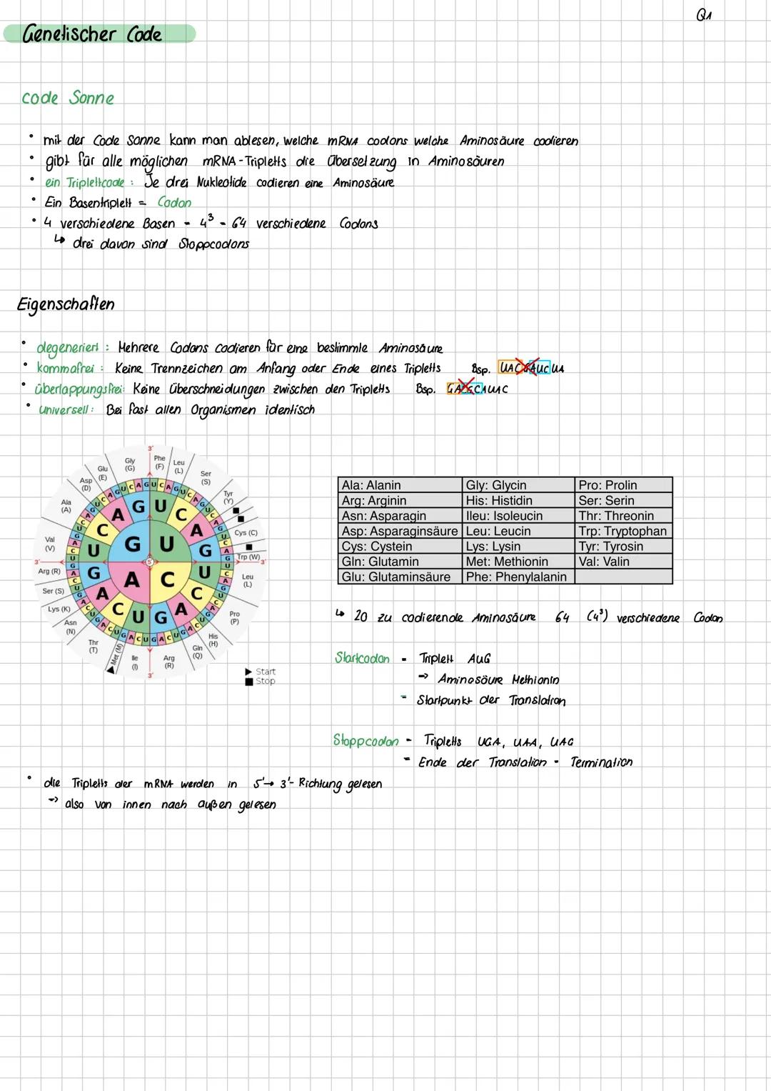Aufbau DNA
Definition DNA
Desoxyribonukleinsäure
Ein Makromolekül, das in Form einer Doppelhelix aufgebaut ist und die Gene enthält, die den