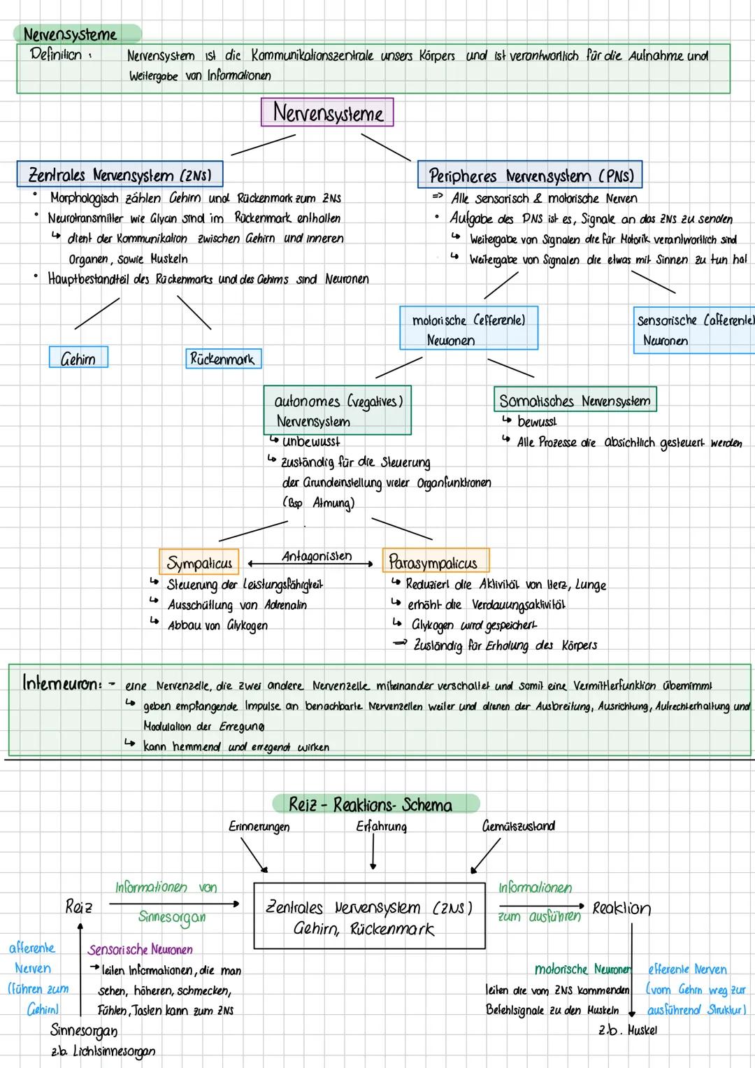 # Nervensysteme
**Definition:**
Nervensystem ist die Kommunikationszentrale unseres Körpers und ist verantwortlich für die Aufnahme und We