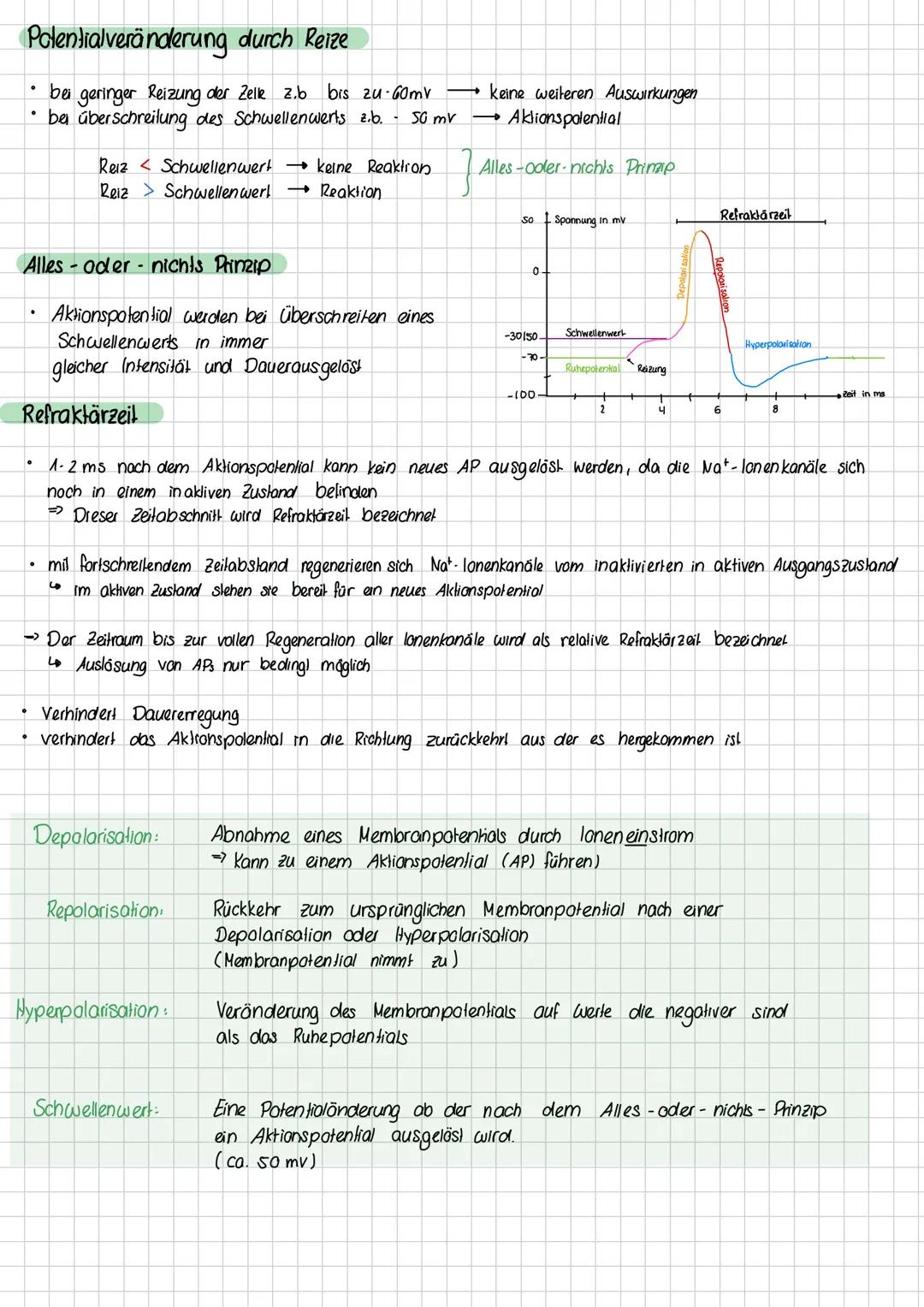 Ruhepotential
> Das Ruhepotential beschreibt das Membranpotential, dass man im Ruhezustand einer Nervenzelle messen kann, wenn
die Zelle nic