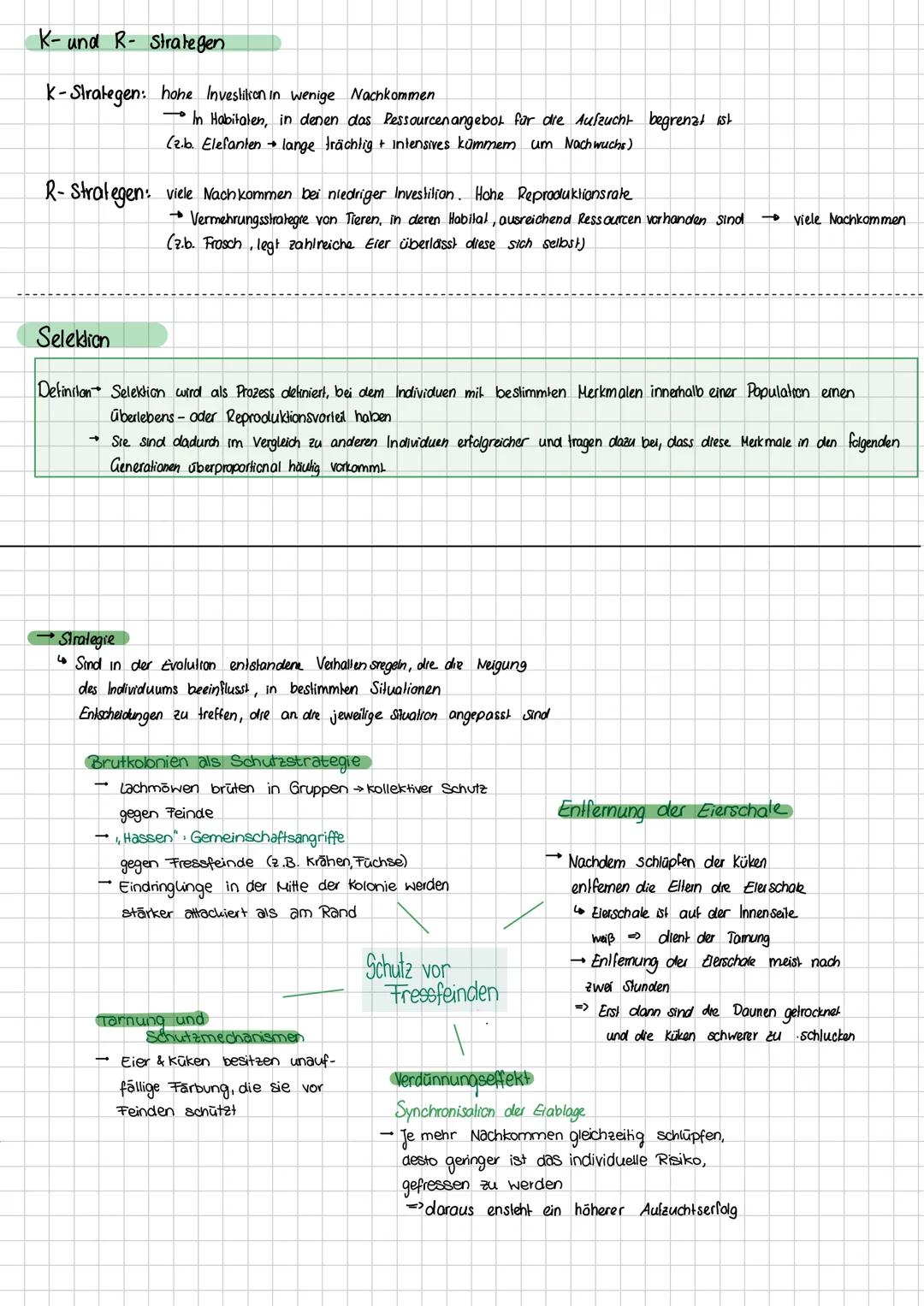 Ursachen von Verhallen
Definition
Proximale Ursachen (Wirkursachen)
• bezeichnen die direkten/unmittelbaren Ursachen für ein Verhalten
• inn