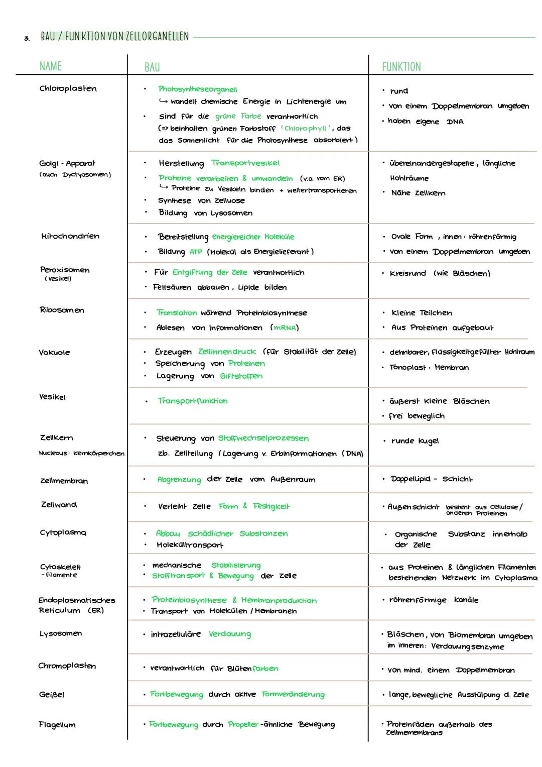 ZELLBIOLOGIE
Lemblatt
IN HALT:
• Kennzeichen des Lebens / Organisationsstufen
• Zelltypen (Gemeinsamkeiten & Unterschiede)
• Bau / Funktion
