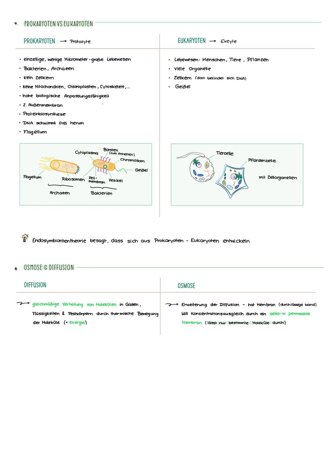 ZELLBIOLOGIE
Lemblatt
IN HALT:
• Kennzeichen des Lebens / Organisationsstufen
• Zelltypen (Gemeinsamkeiten & Unterschiede)
• Bau / Funktion