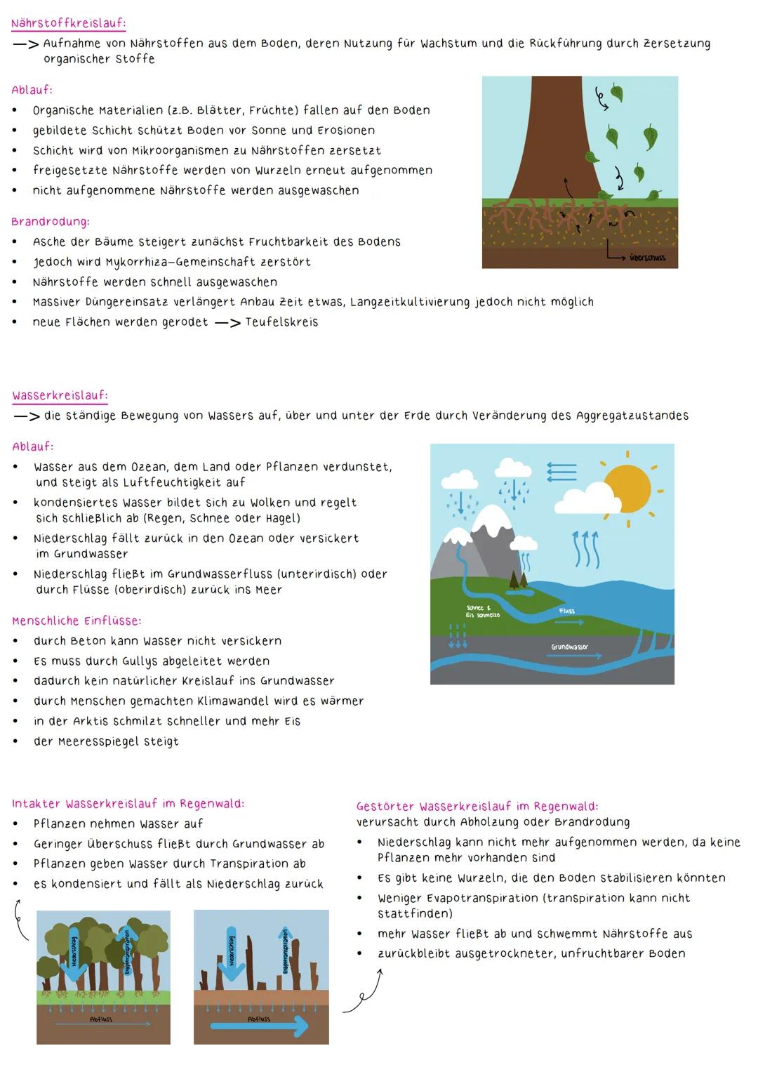 Landwirtschaft
Bodenversalzung:
-> Anreicherung von Salzen im Oberboden führt zu einer verminderten Fruchtbarkeit des Bodens und schädigt wu