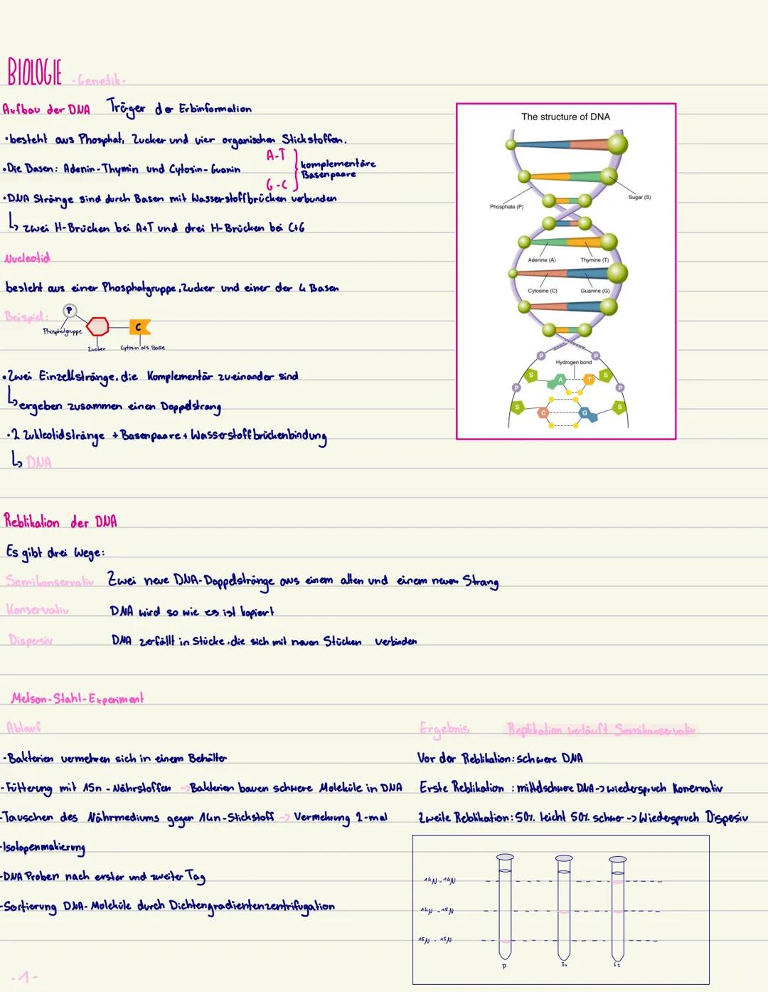 Genetik Biologie Grundkurs 12. Klasse