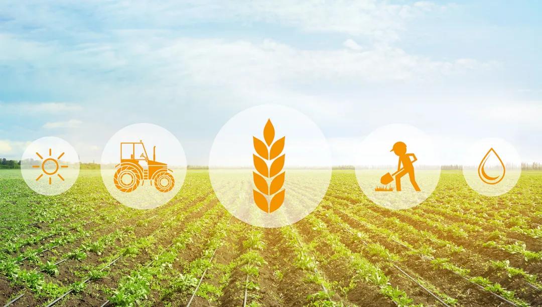 Geographie, Landwirtschaft, Q1-Q2