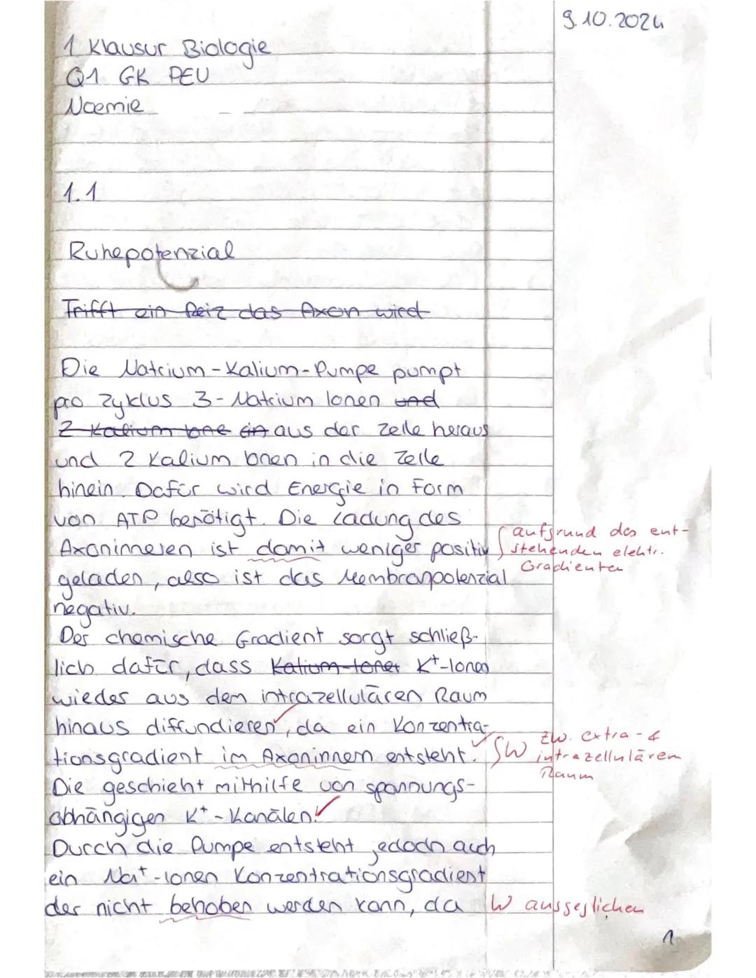 Biologie Klausur Neurobiologie
