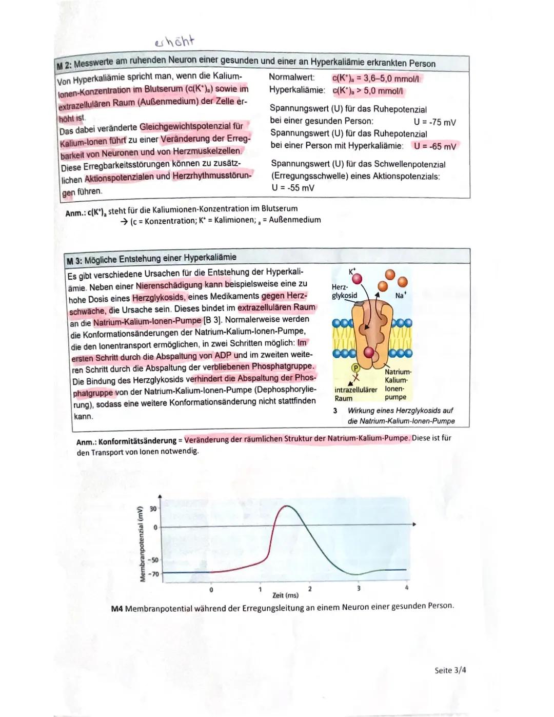 9.10.2024
1 Klausur Biologie
Q1 GK PEU
Noemie
1.  1
Ruhepotenzial
Trifft ein Reiz das Axon wird
Die Natrium-Kalium-Pumpe pumpt
pro Zykl