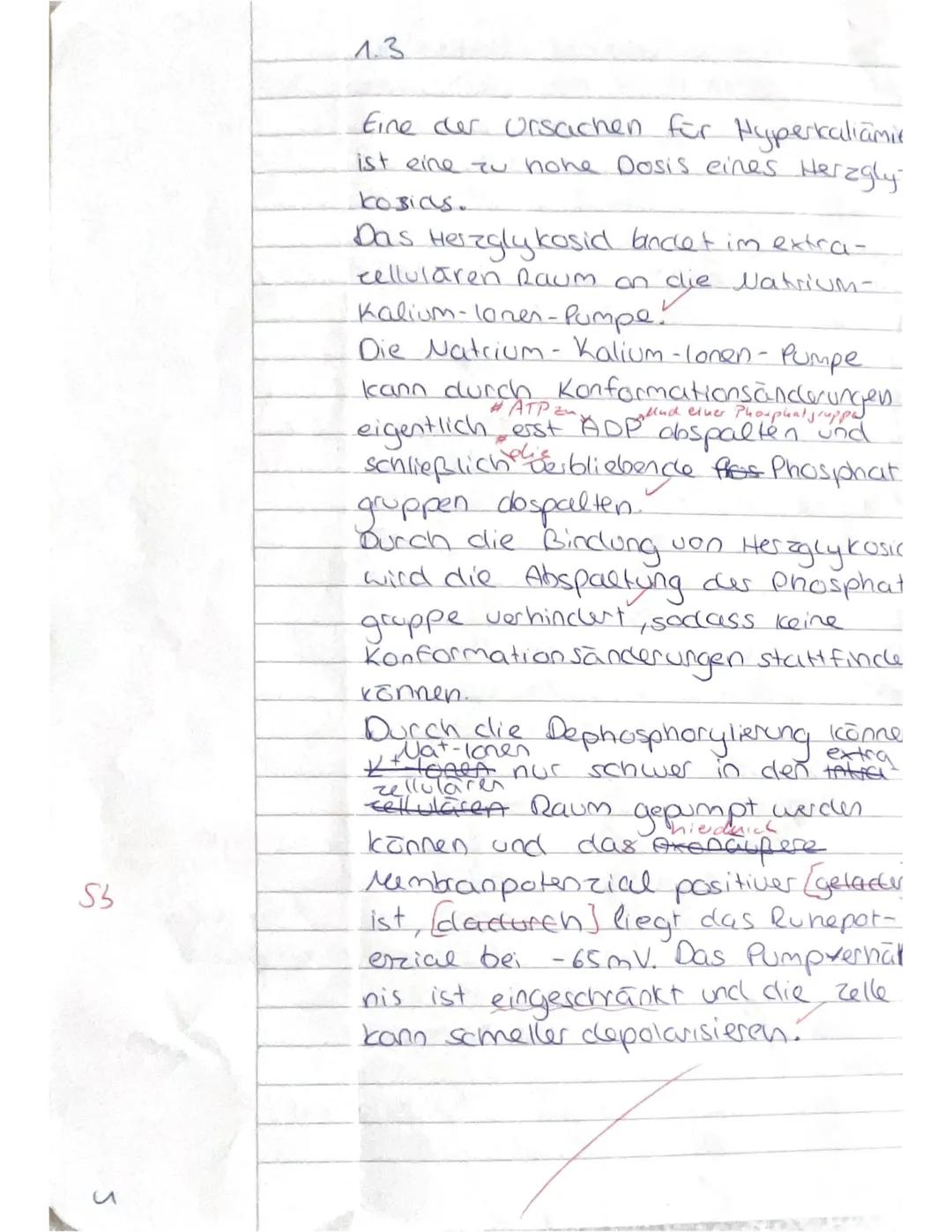 9.10.2024
1 Klausur Biologie
Q1 GK PEU
Noemie
1.  1
Ruhepotenzial
Trifft ein Reiz das Axon wird
Die Natrium-Kalium-Pumpe pumpt
pro Zykl