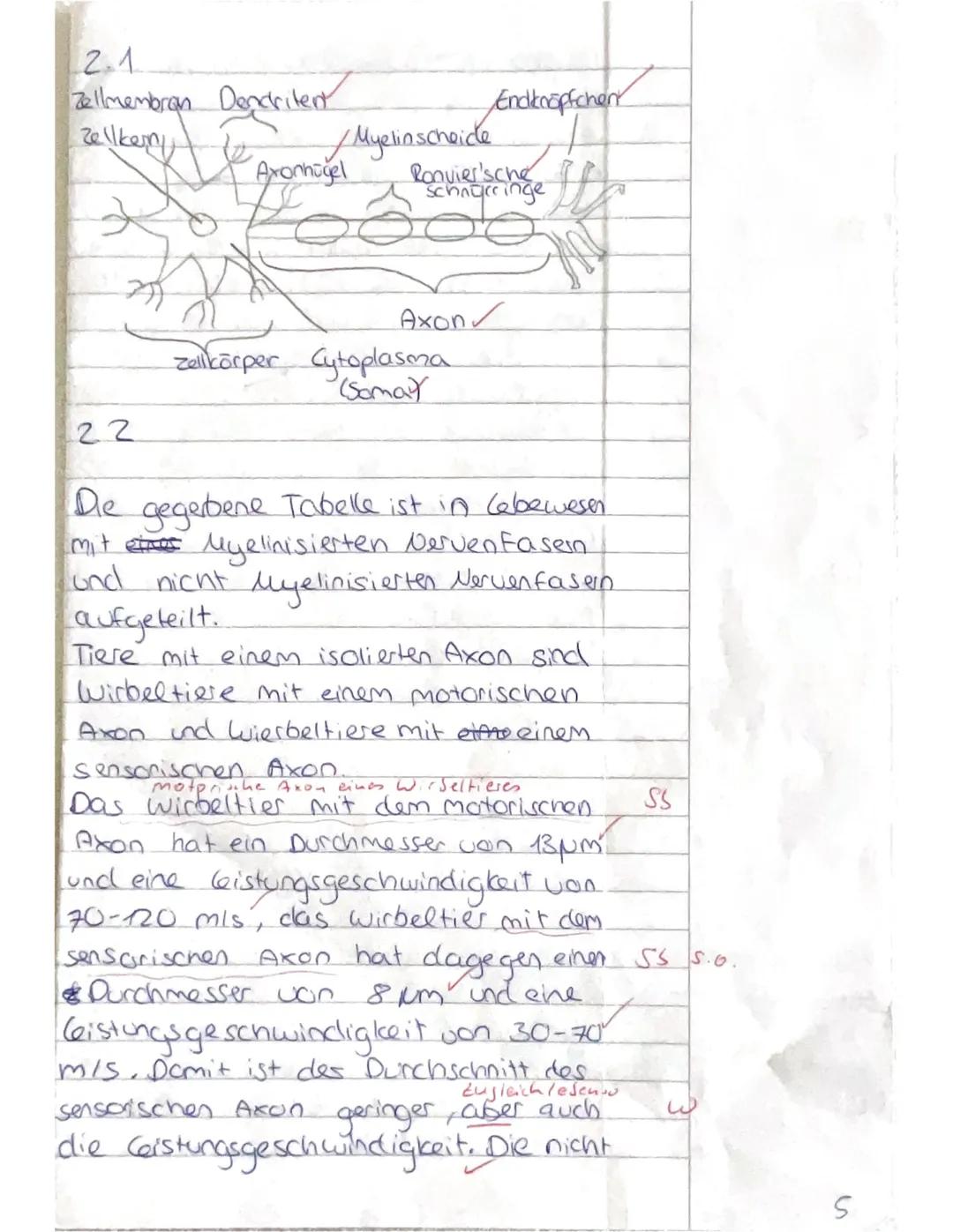 9.10.2024
1 Klausur Biologie
Q1 GK PEU
Noemie
1.  1
Ruhepotenzial
Trifft ein Reiz das Axon wird
Die Natrium-Kalium-Pumpe pumpt
pro Zykl