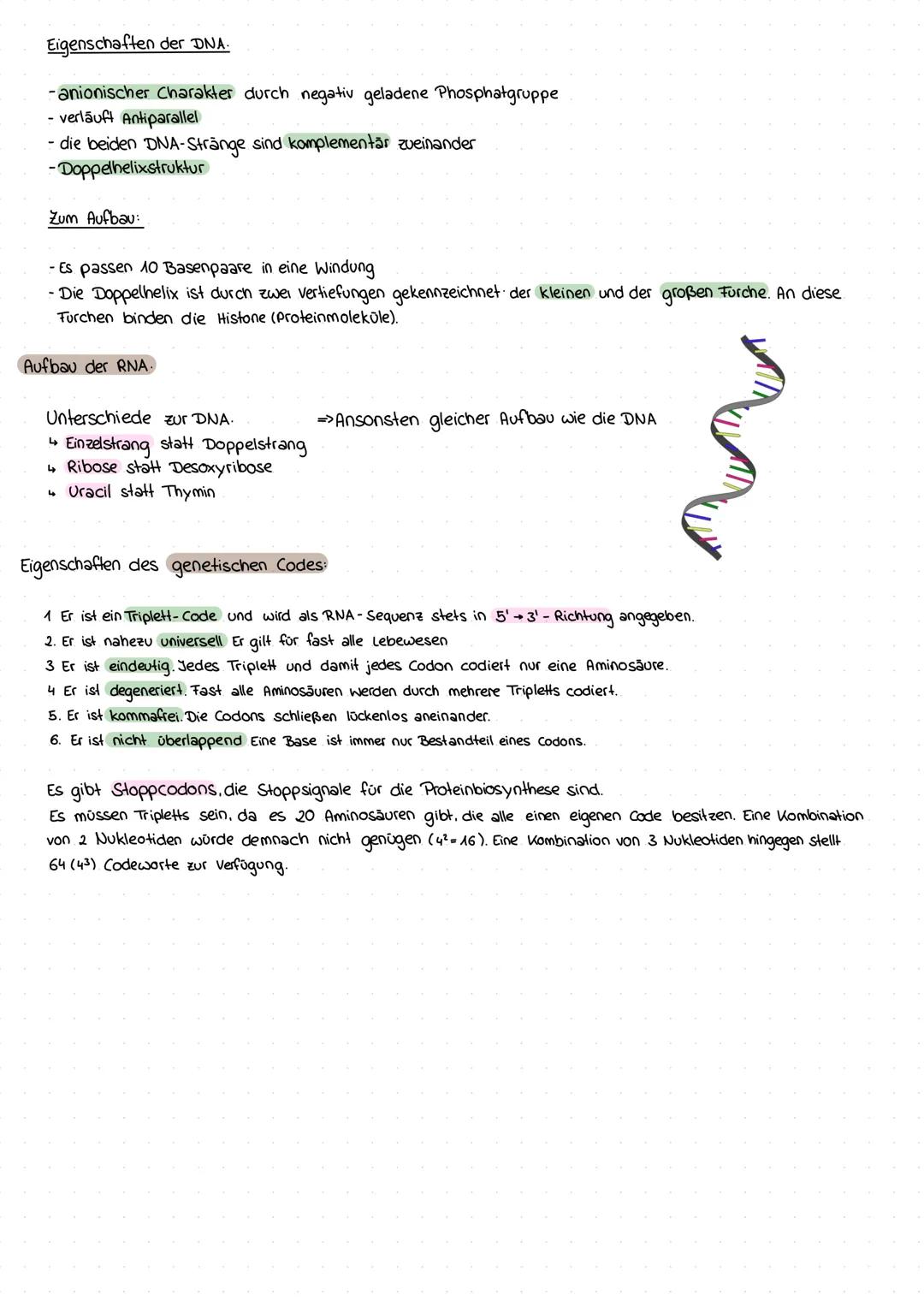 Lernzettel 1. Klausur Q1
Zellkern & Genetik Grundlagen
Bedeutung des Zellkerns anhand eines Transplantationsversuches verdeutlichen.
Acet